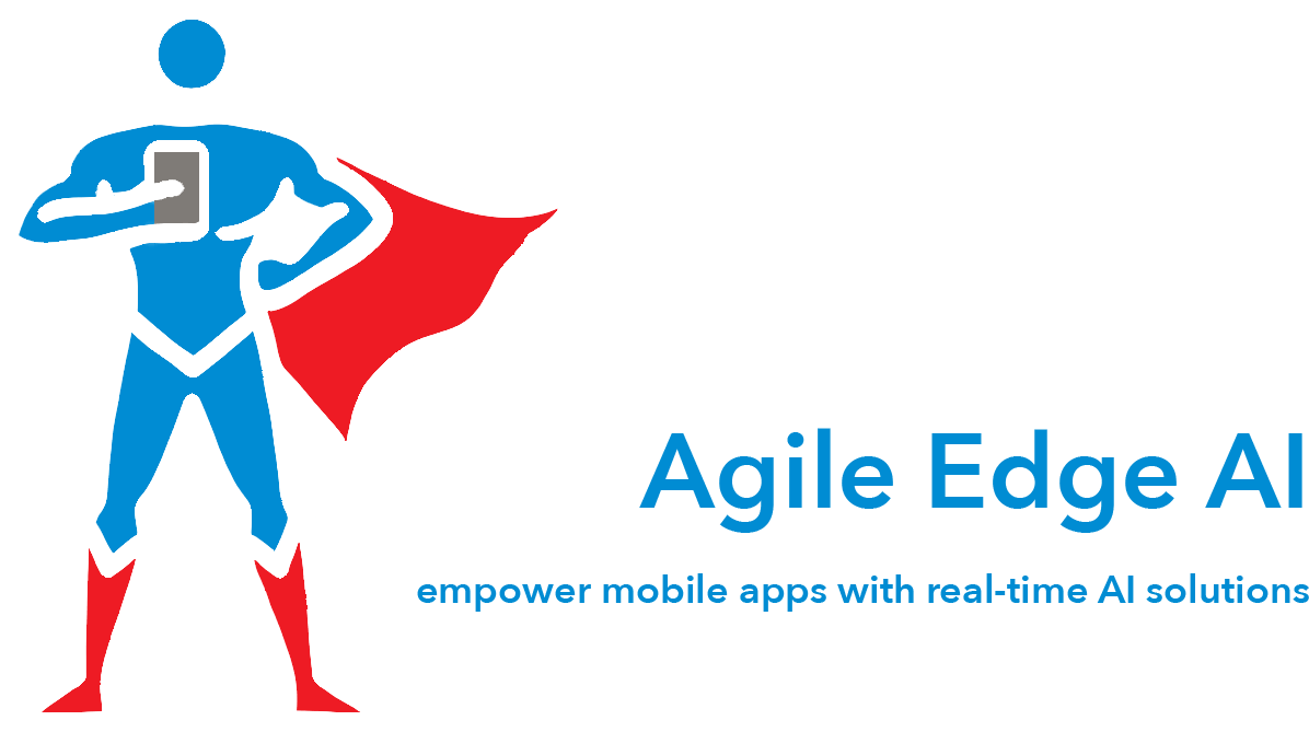 Agile Edge AI